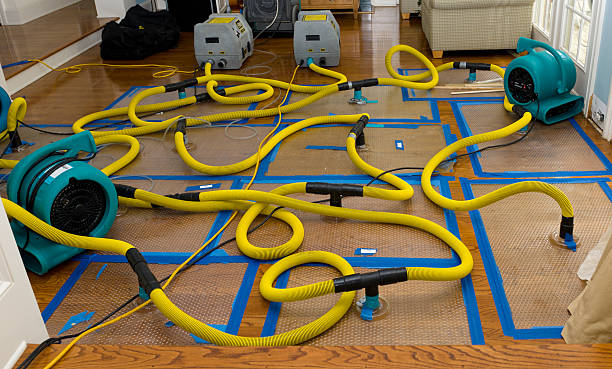 Professional Crawl Space Water Removal technician working in Lovejoy, IL